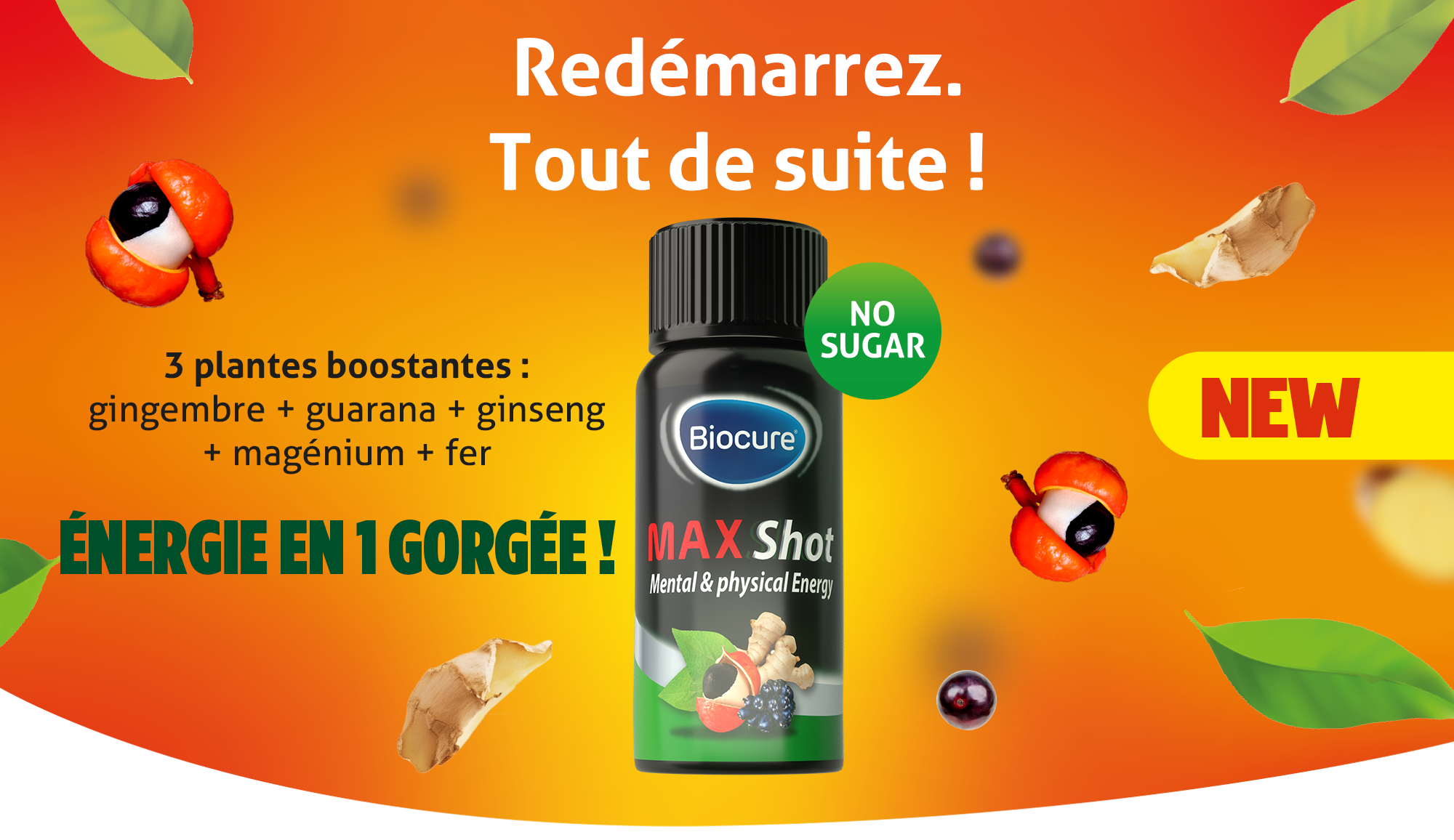 Biocure_MaxBoost_header